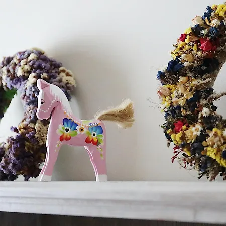 Babie Zacisze 别墅 扎沃亚